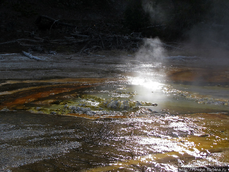 Смотровая площадка и гейзер-одиночка (район "Old faithful")