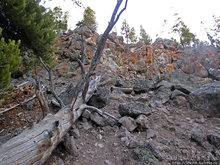 Смотровая площадка и гейзер-одиночка (район "Old faithful")