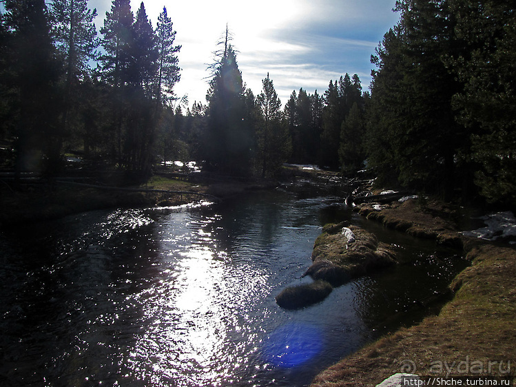 Смотровая площадка и гейзер-одиночка (район "Old faithful")