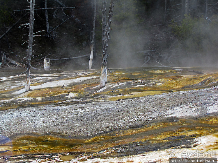 Смотровая площадка и гейзер-одиночка (район "Old faithful")