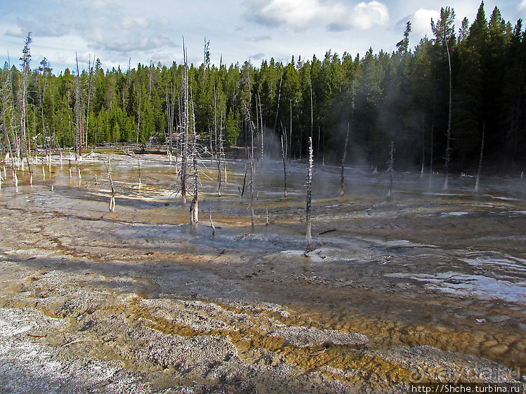 Смотровая площадка и гейзер-одиночка (район "Old faithful")