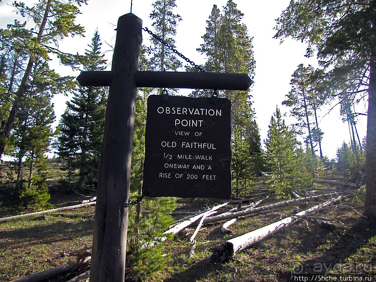 Смотровая площадка и гейзер-одиночка (район "Old faithful")