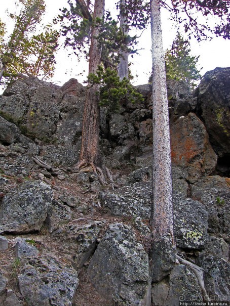 Смотровая площадка и гейзер-одиночка (район "Old faithful")