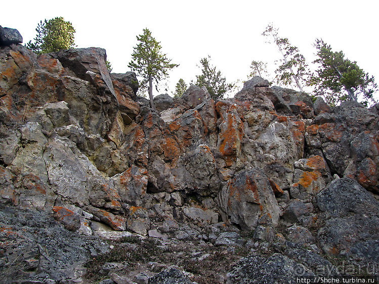 Смотровая площадка и гейзер-одиночка (район "Old faithful")