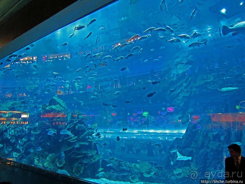 "Dubai Mall" — целый город со своими достопримечательностями