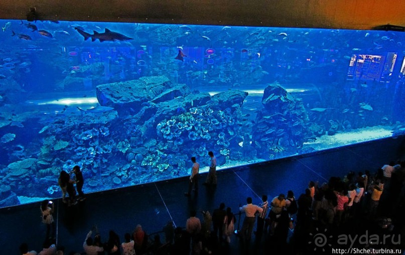 "Dubai Mall" — целый город со своими достопримечательностями