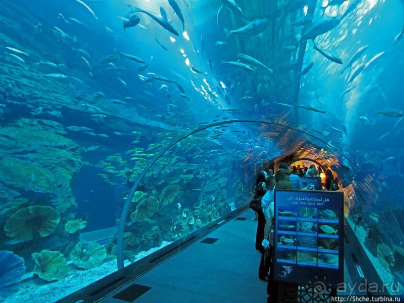 "Dubai Mall" — целый город со своими достопримечательностями