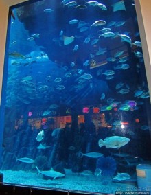 "Dubai Mall" — целый город со своими достопримечательностями