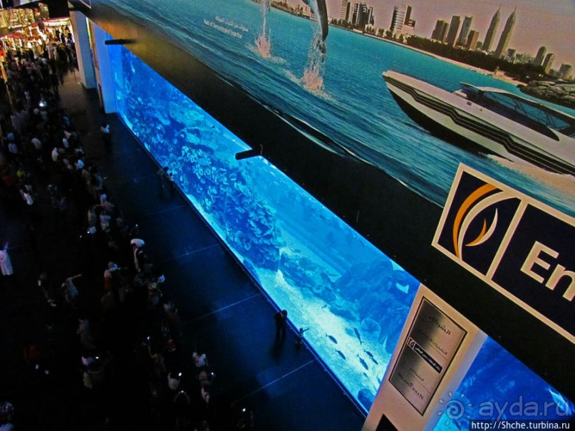 "Dubai Mall" — целый город со своими достопримечательностями