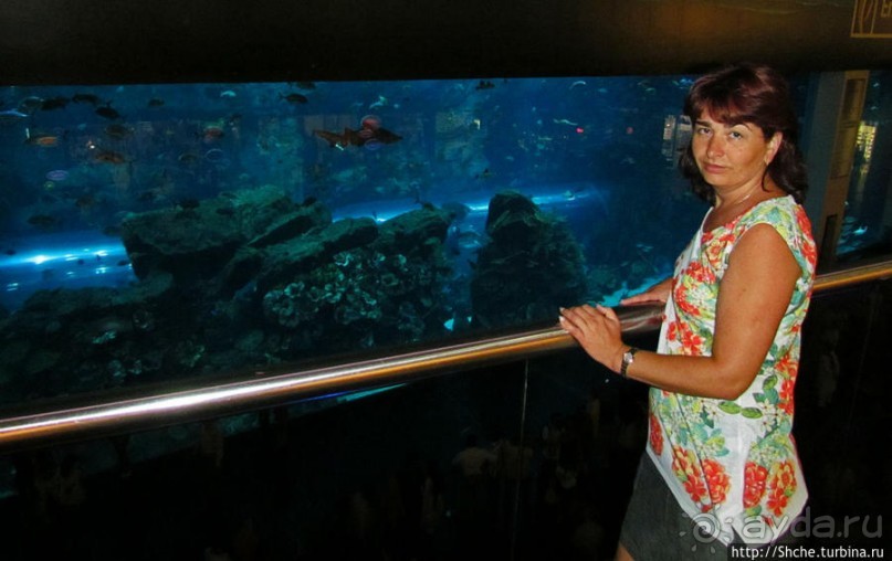 "Dubai Mall" — целый город со своими достопримечательностями