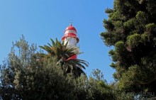 Его призвание "маячить"