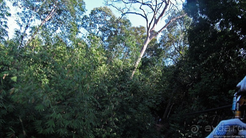 Страна Гиббония: полеты наяву... с камерой GoPro на голове