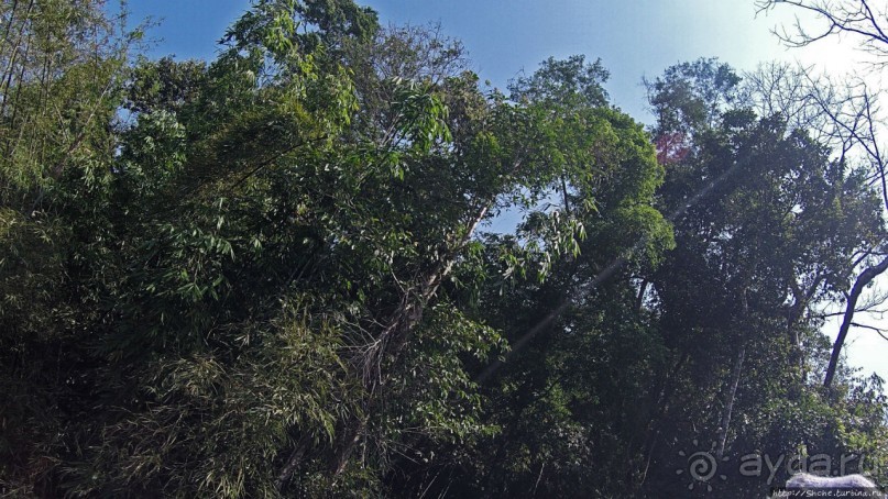 Страна Гиббония: полеты наяву... с камерой GoPro на голове