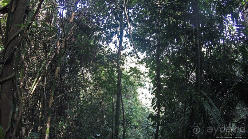 Страна Гиббония: полеты наяву... с камерой GoPro на голове