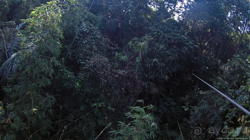 Страна Гиббония: полеты наяву... с камерой GoPro на голове