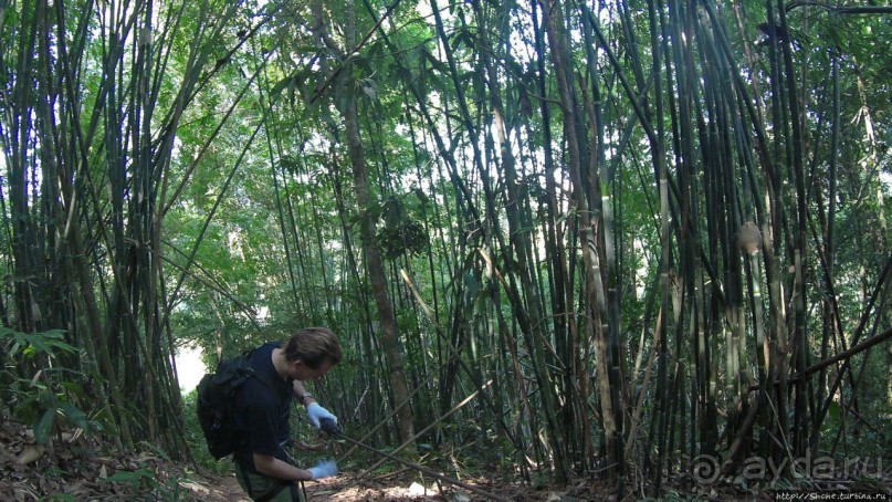 Страна Гиббония: полеты наяву... с камерой GoPro на голове