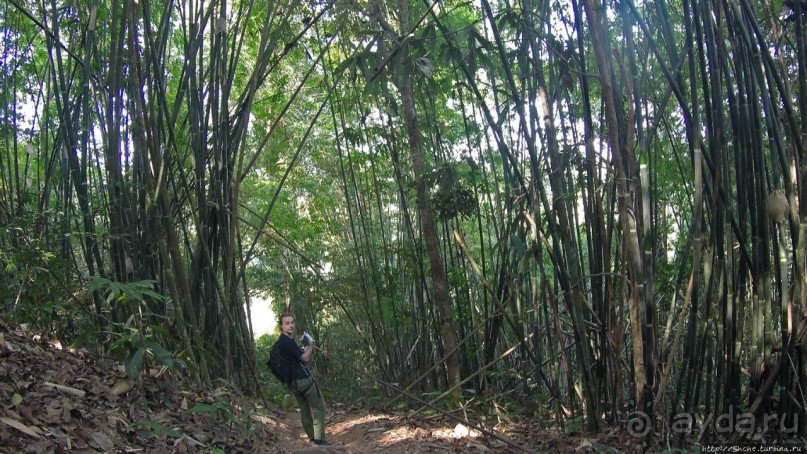 Страна Гиббония: полеты наяву... с камерой GoPro на голове