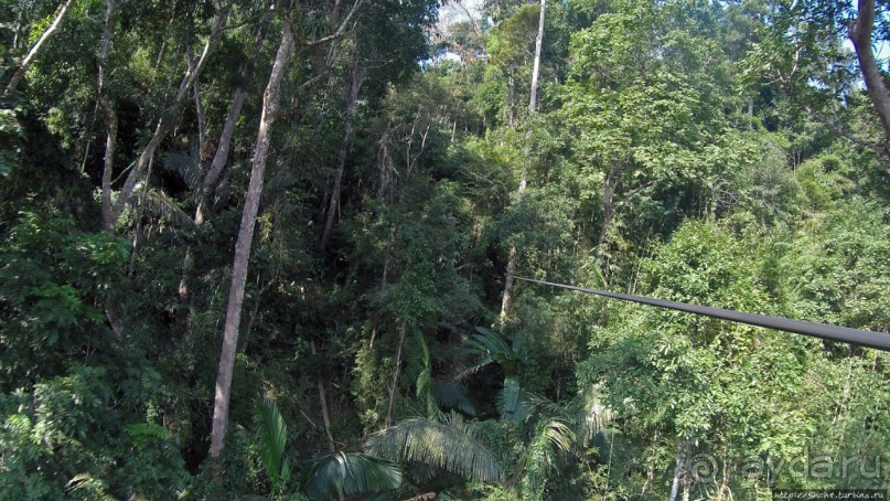 Страна Гиббония: полеты наяву... с камерой GoPro на голове