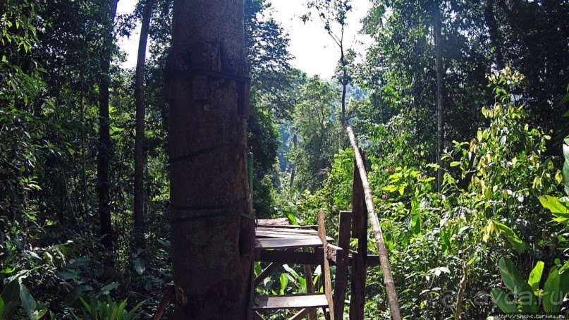 Страна Гиббония: полеты наяву... с камерой GoPro на голове