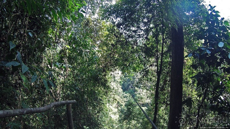 Страна Гиббония: полеты наяву... с камерой GoPro на голове