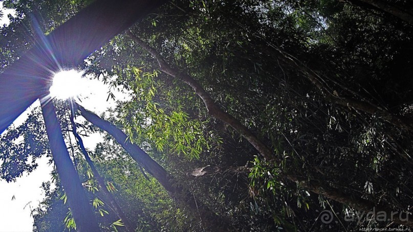 Страна Гиббония: полеты наяву... с камерой GoPro на голове