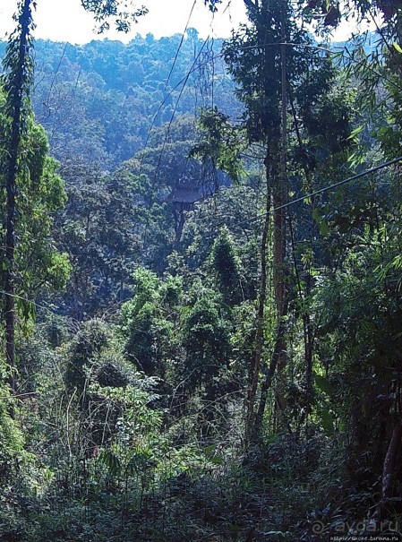 Страна Гиббония: полеты наяву... с камерой GoPro на голове