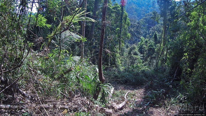 Страна Гиббония: полеты наяву... с камерой GoPro на голове