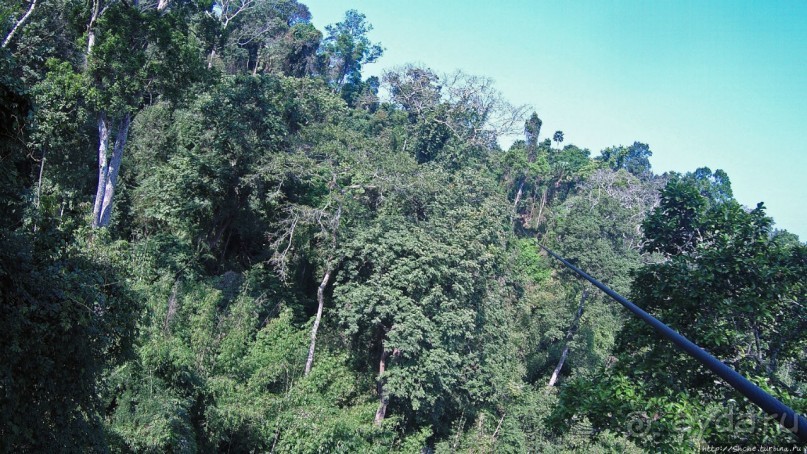 Страна Гиббония: полеты наяву... с камерой GoPro на голове