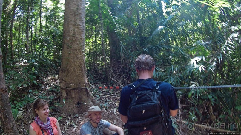 Страна Гиббония: полеты наяву... с камерой GoPro на голове