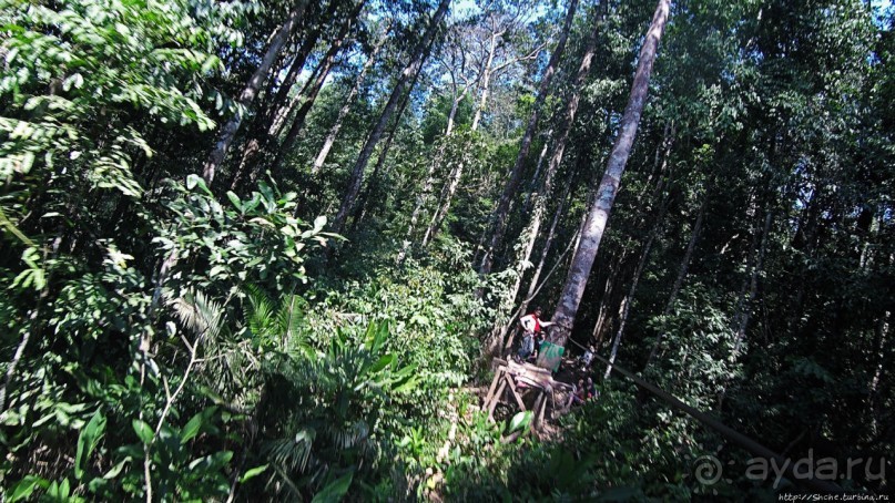 Страна Гиббония: полеты наяву... с камерой GoPro на голове