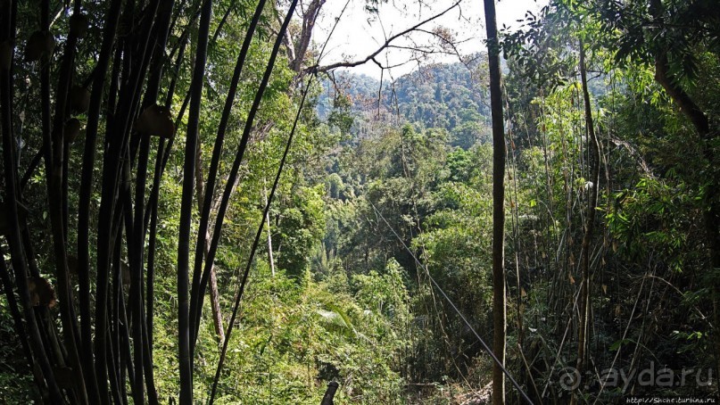 Страна Гиббония: полеты наяву... с камерой GoPro на голове