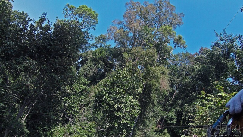 Страна Гиббония: полеты наяву... с камерой GoPro на голове