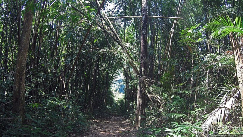 Страна Гиббония: полеты наяву... с камерой GoPro на голове