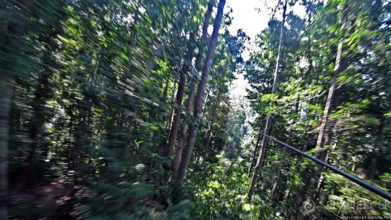 Страна Гиббония: полеты наяву... с камерой GoPro на голове