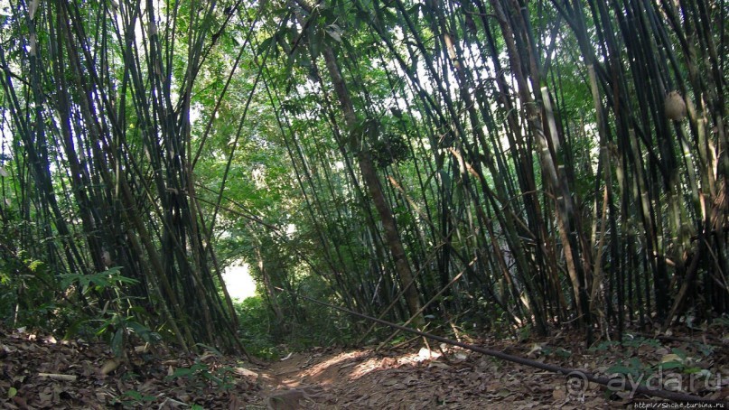 Страна Гиббония: полеты наяву... с камерой GoPro на голове