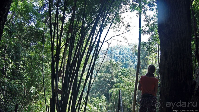 Страна Гиббония: полеты наяву... с камерой GoPro на голове