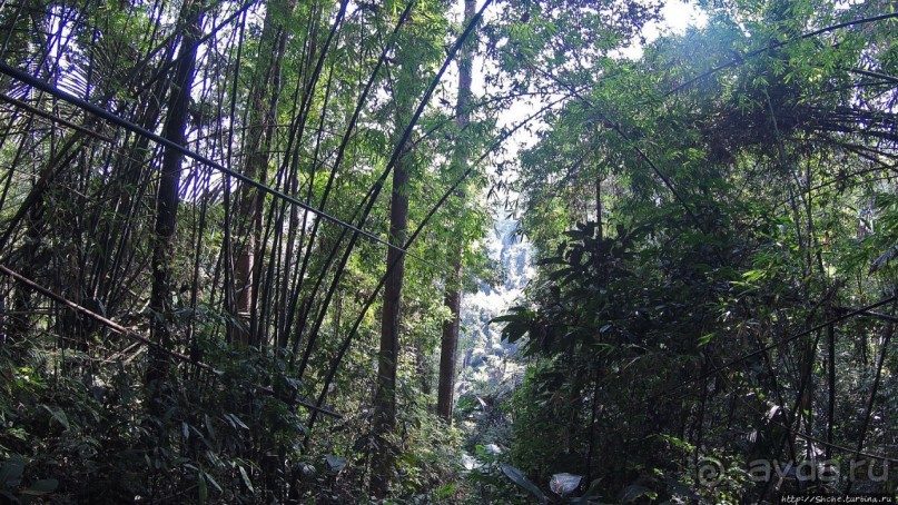 Страна Гиббония: полеты наяву... с камерой GoPro на голове