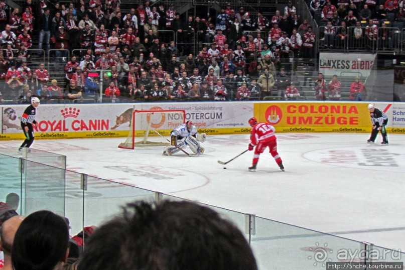 Лица немецкого хоккея. Когда болеют лучше, чем играют