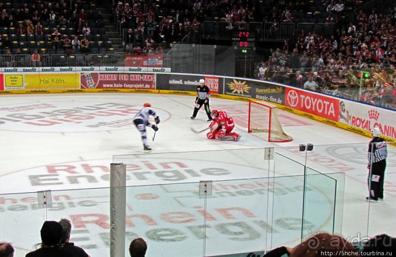 Лица немецкого хоккея. Когда болеют лучше, чем играют