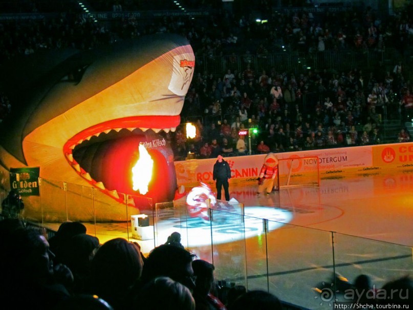 Лица немецкого хоккея. Когда болеют лучше, чем играют