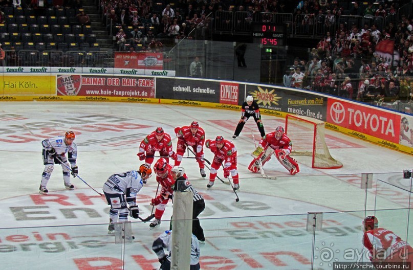 Лица немецкого хоккея. Когда болеют лучше, чем играют