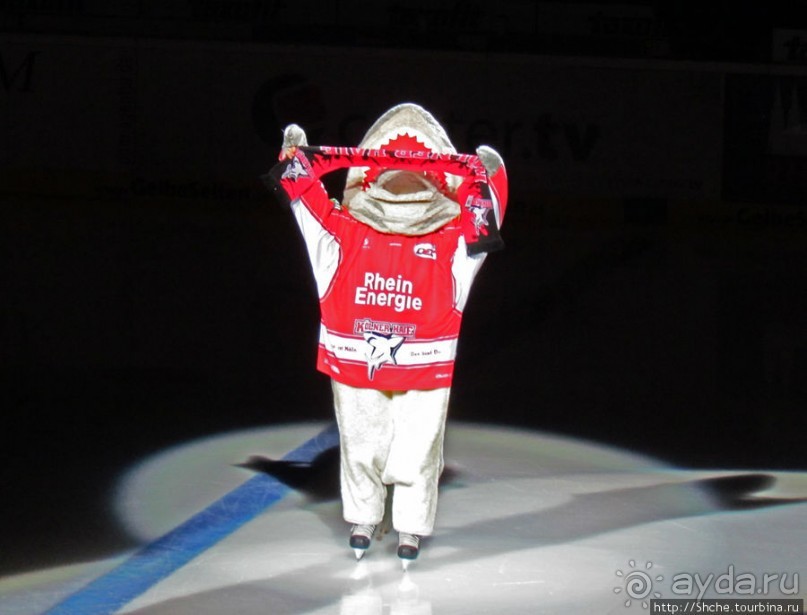 Лица немецкого хоккея. Когда болеют лучше, чем играют