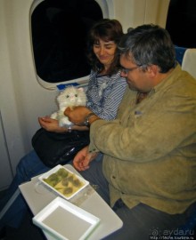 "A taste of NIPPON". Вкус 10: нама-ятцухаши(Nama yatsuhashi)