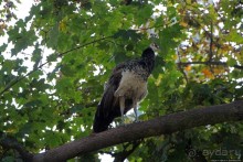 Замковый сад в Кромержиже — объект ЮНЕСКО 860-001