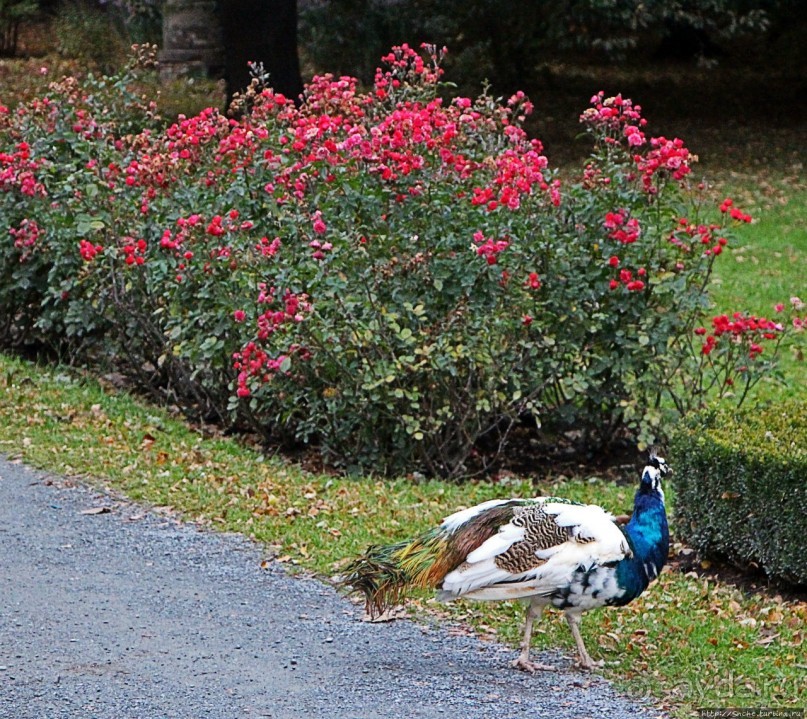 Замковый сад в Кромержиже — объект ЮНЕСКО 860-001