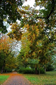 Замковый сад в Кромержиже — объект ЮНЕСКО 860-001