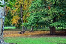 Замковый сад в Кромержиже — объект ЮНЕСКО 860-001