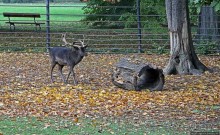 Замковый сад в Кромержиже — объект ЮНЕСКО 860-001