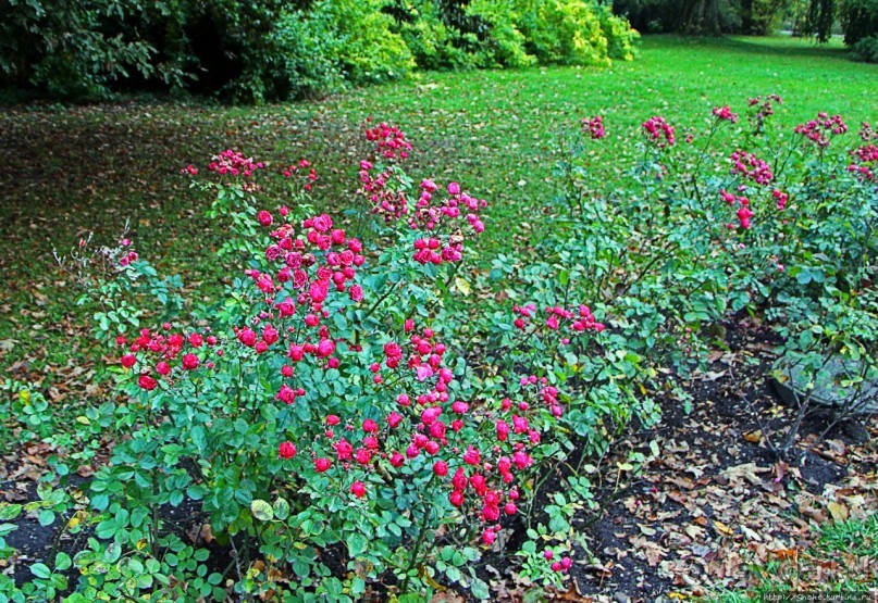 Замковый сад в Кромержиже — объект ЮНЕСКО 860-001