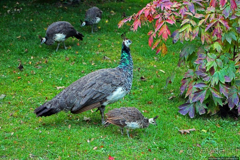Замковый сад в Кромержиже — объект ЮНЕСКО 860-001